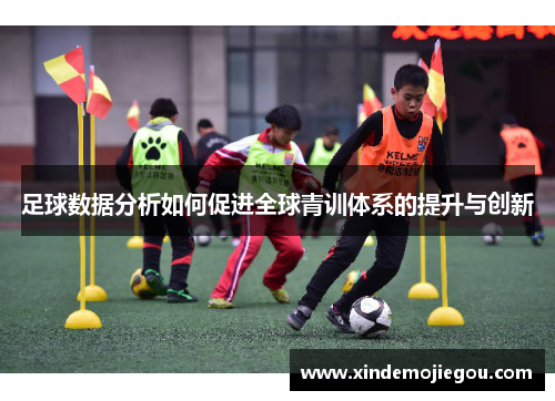 足球数据分析如何促进全球青训体系的提升与创新