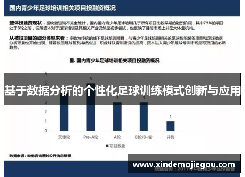 基于数据分析的个性化足球训练模式创新与应用